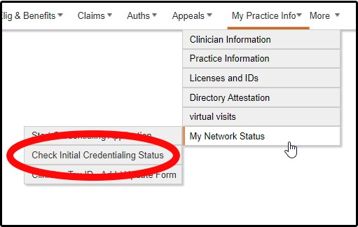 Sub-menu to find the Initial Credentialing Status Toolbar Sub-menu to find the Initial Credentialing Status Toolbar